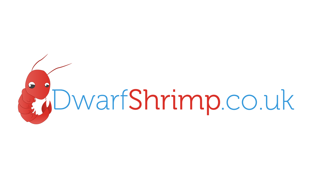 DwarfShrimp.co.uk